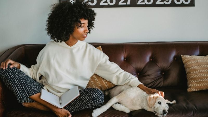 woman on sofa stroking a dog