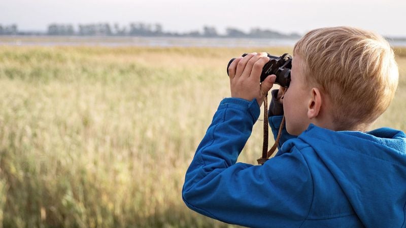 Boy using binoculars to look over a field