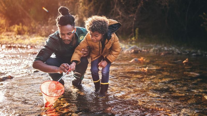 Father and child playing in a stream